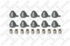 BPW 0980106250 Repair Kit, brake caliper